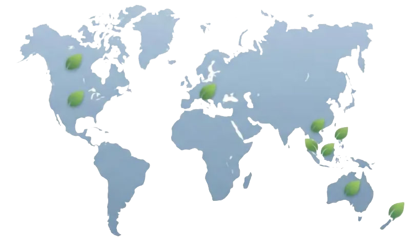 WORLD